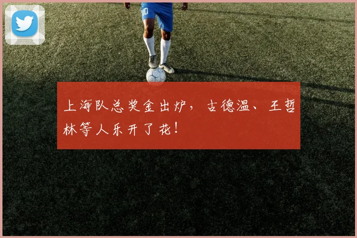 上海队总奖金出炉，古德温、王哲林等人乐开了花！